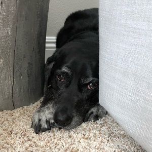 Meet your Posher, Robyn